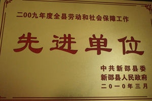 企业荣誉 第 13 张